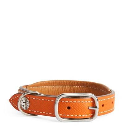 Shop Lord Lou Leather Ascot Dog Collar In Orange