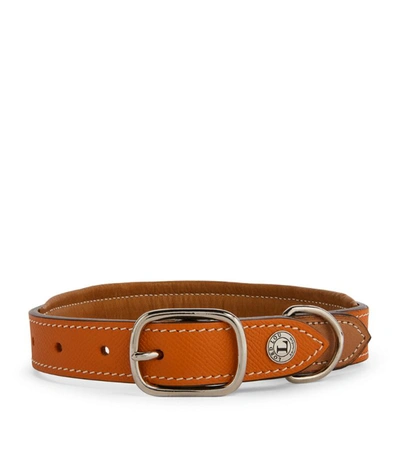 Shop Lord Lou Leather Ascot Dog Collar (medium) In Orange