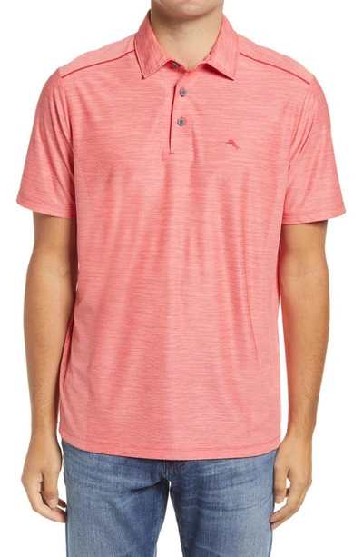 Shop Tommy Bahama Palm Coast Classic Fit Polo In Clarete
