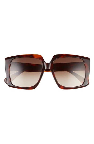 Shop Max Mara 56mm Gradient Square Sunglasses In Hav/ Brn