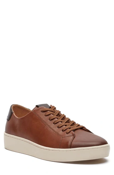 Shop Vince Camuto Hallman Leather Sneaker In Cognac