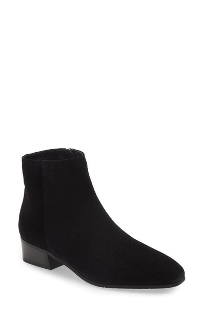 Shop Aquatalia Fuoco Waterproof Bootie In Black Suede