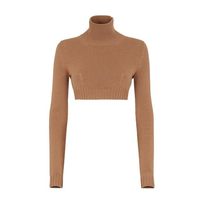 Shop Fendi Cashmere Jumper In Marron