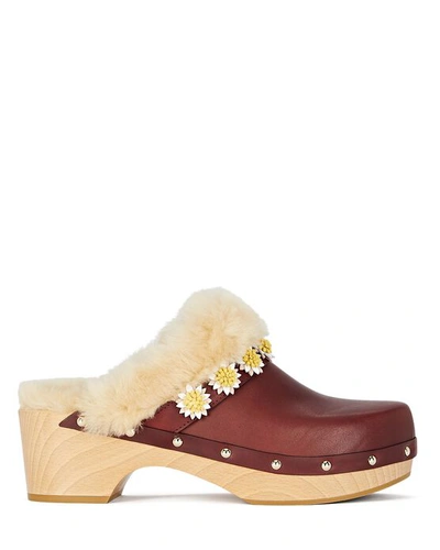 Women's Jean Daisy Shearling Trimmed Clogs In Brown