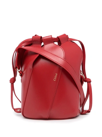 Tulip Mini Leather Bucket Crossbody Bag In Red Crush