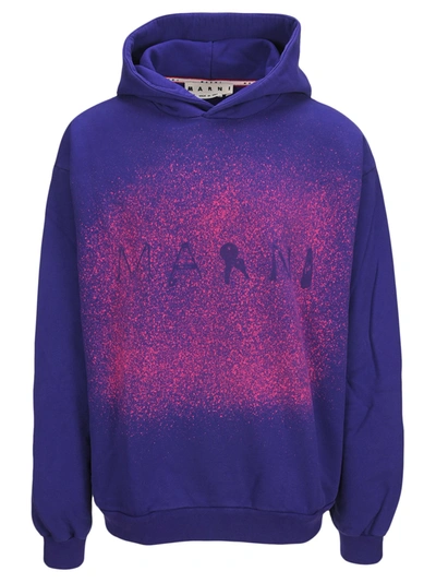 Marni Found Objects Logo Print Sweatshirt In Purple | ModeSens