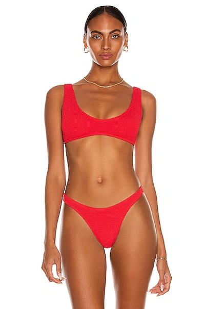 Shop Bond Eye Scout Crop Bikini Top In Baywatch Red