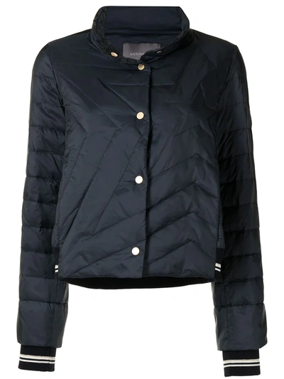 Shop Lorena Antoniazzi Quilted Shell Jacket In Blue
