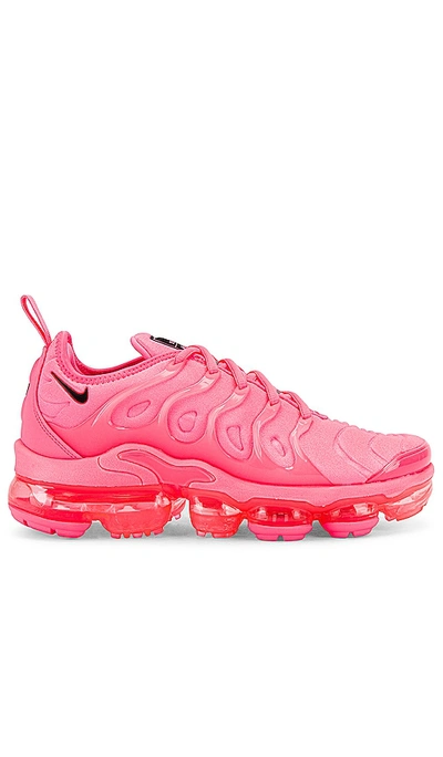 Shop Nike Air Vapormax Plus Sneaker In Sunset Pulse  Black  & Ghost Green