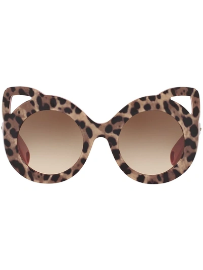 Shop Dolce & Gabbana Leopard-print Round-frame Sunglasses In Brown