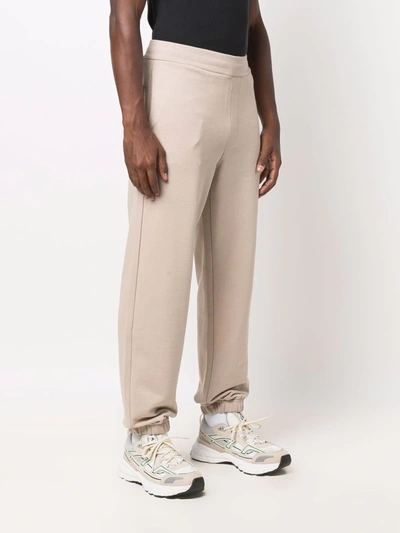 Msgm Logo-print Cotton Track Trousers In Purple