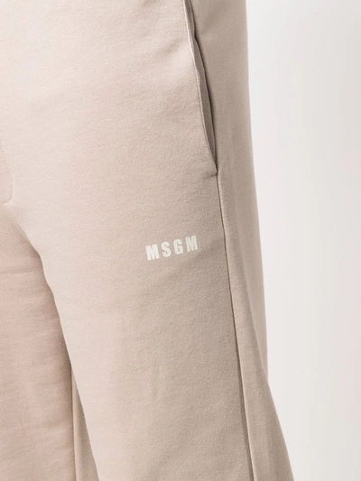 Msgm Logo-print Cotton Track Trousers In Purple
