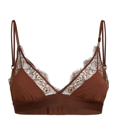 Shop Love Stories Lace Bralette In Brown