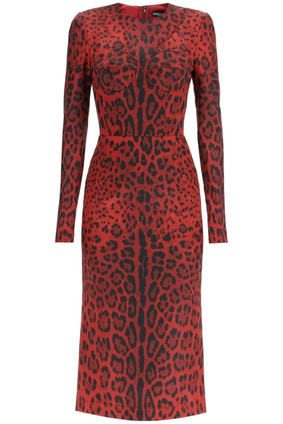 Shop Dolce & Gabbana Leopard Print Midi Bustier Dress In Mixed Colours