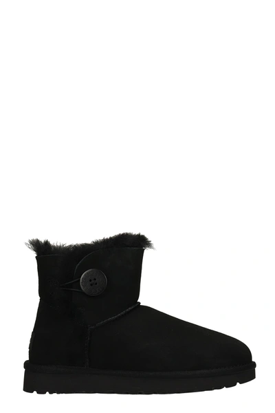 Shop Ugg Mini Bailey But Low Heels Ankle Boots In Black Suede
