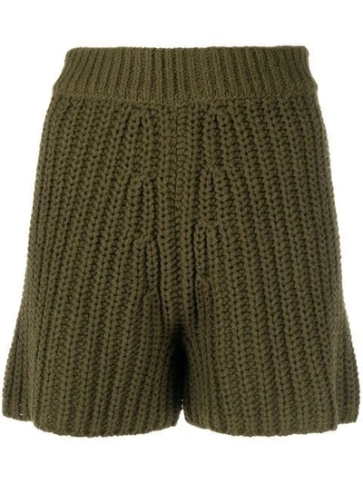 Shop Alanui Pucon Ribbed-knit Shorts In Green