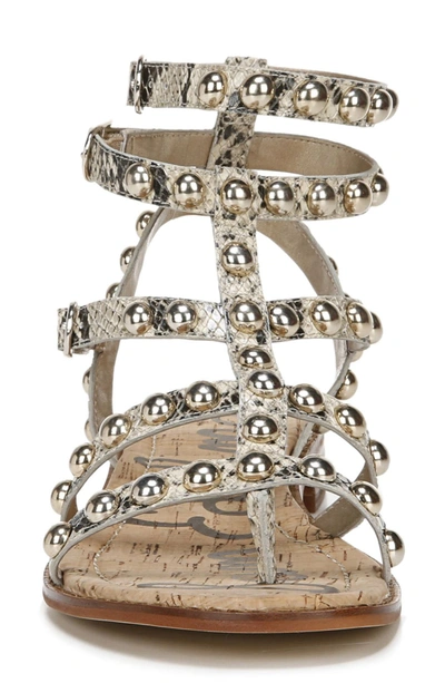 Shop Sam Edelman Eavan Studded Sandal In Beach Leather