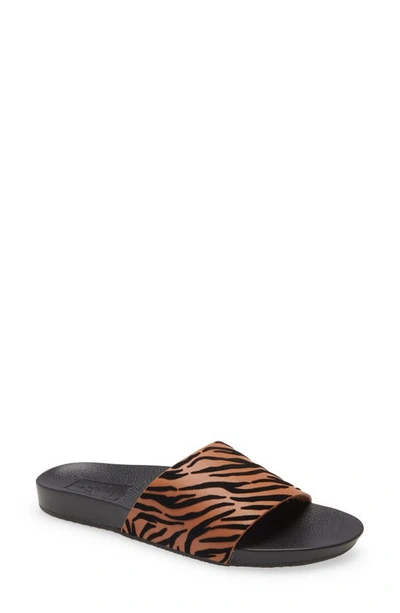 Vans Tiger Print Slide Sandal In Argan Oil black ModeSens