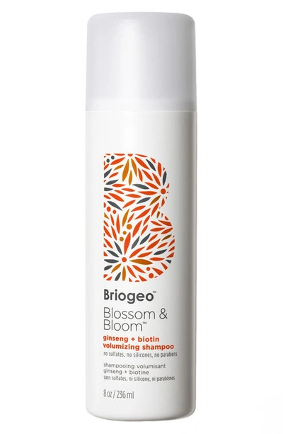 Shop Briogeo Blossom & Bloom Ginseng + Biotin Volumizing Shampoo, 8 oz