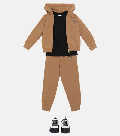 Shop Burberry Teddy Cashmere Knit Zip-up Hoodie In Brown