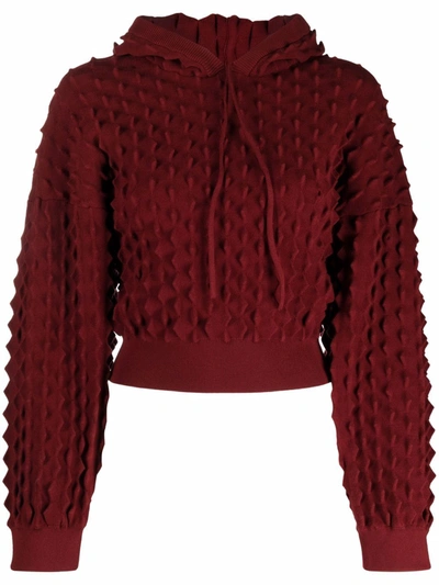 Shop Stella Mccartney Knitted Drawstring Hoodie In Rot