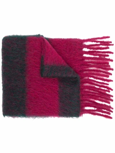 Shop Marni Striped-knit Scarf In Rosa
