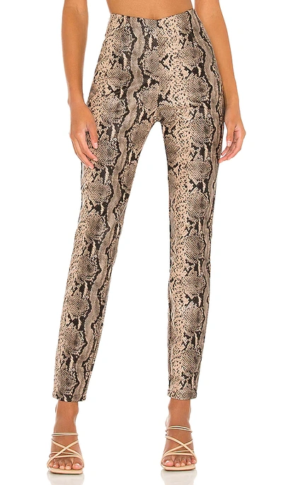 Shop Superdown Donna Snake Pant In Taupe