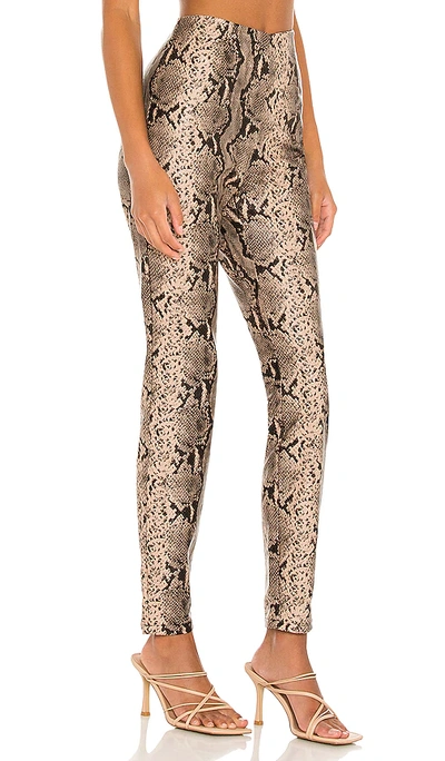 Shop Superdown Donna Snake Pant In Taupe