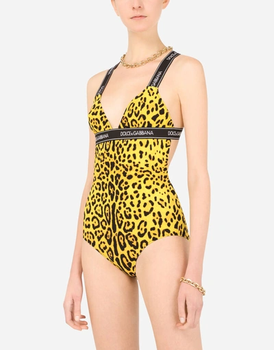 Shop Dolce & Gabbana One-piece Swimsuit With Plunging Neckline And Branded Elastic In Multicolor