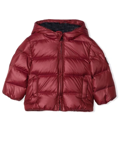 Shop Fay Dark Red Puffer Jacket In Bordo