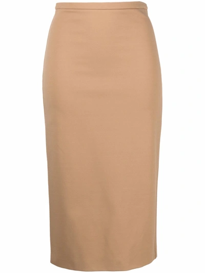 Shop Max Mara Fitted Pencil Skirt In Neutrals
