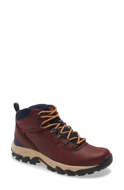 Shop Columbia Newton Ridge™ Plus Ii Waterproof Hiking Boot In Brown Navy