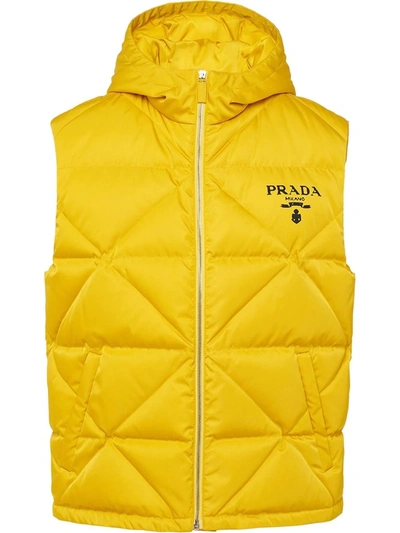 Shop Prada Logo-print Padded Gilet In Gelb