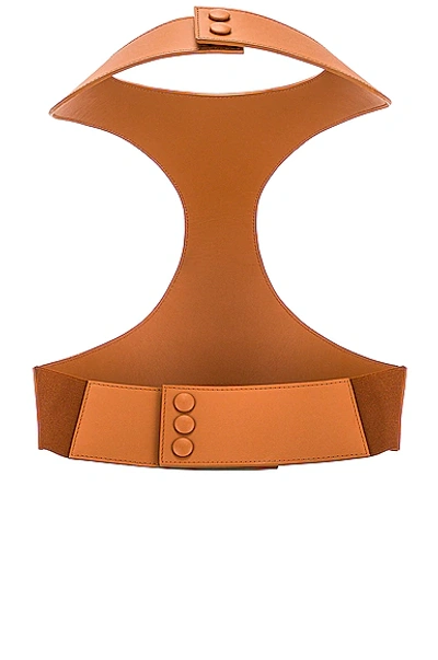 Shop Loewe Harness Belt In Tan