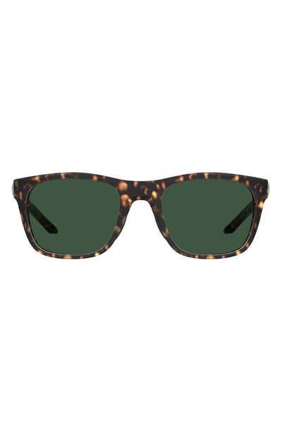 Shop Under Armour 55mm Square Sunglasses In Havn Brwn / Green Polarized