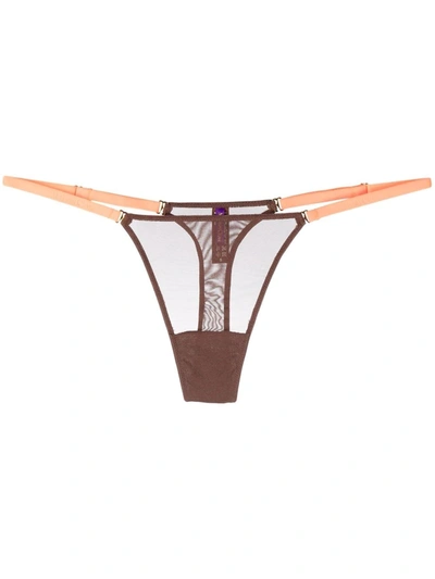 Shop Maison Close Mesh Mini Thong In Brown