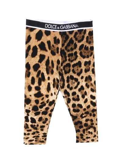 Shop Dolce & Gabbana Leggings In Leopardato