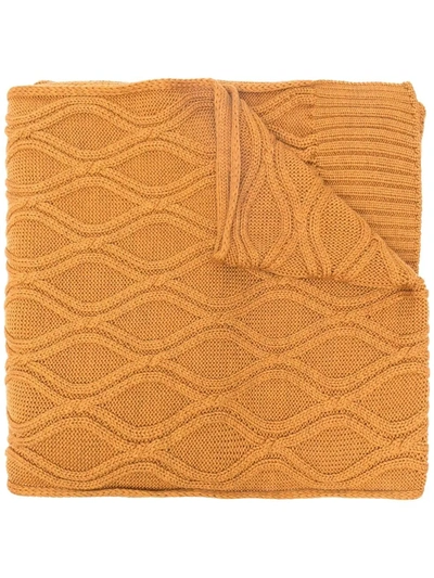 Shop Lardini Honeycomb Knitted Scarf In Yellow