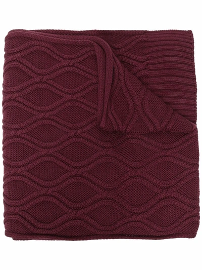 Shop Lardini Honeycomb Knitted Scarf In Red