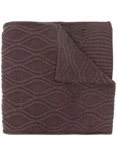 Shop Lardini Honeycomb Knitted Scarf In Brown
