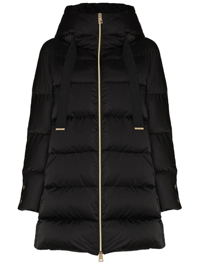 Shop Herno Raso Hooded Padded Coat In Black