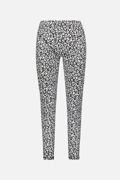 Shop Adam Selman Sport French Cut Legging In Black Mini Leopard