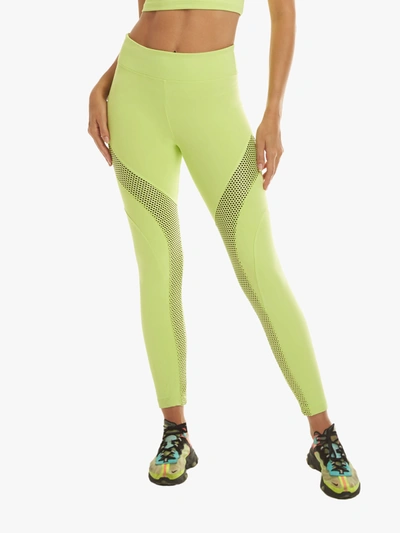 Koral best sale frame leggings