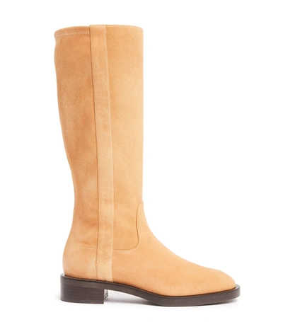 Stuart Weitzman Kaia Knee High Boot In New Camel Sport Suede