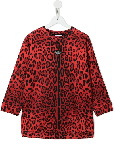 Shop Dolce & Gabbana Leopard-print Dress In Red