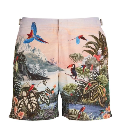 Shop Orlebar Brown Into The Jungle Bulldog Swim Shorts In Multi