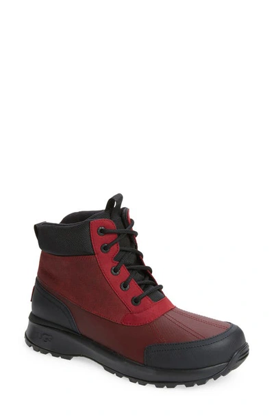 Shop Ugg Emmett Waterproof Snow Boot In Cordovan / Black