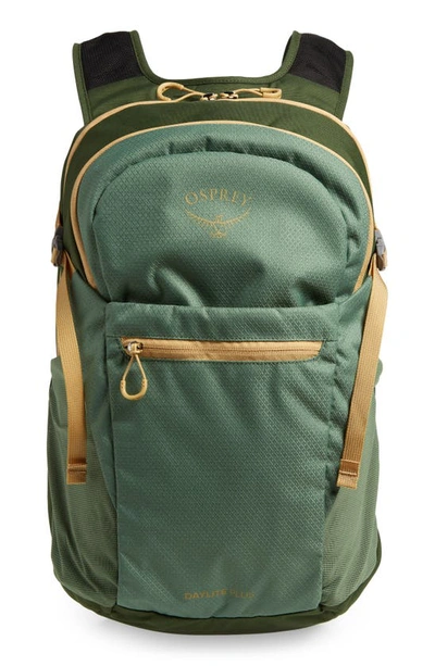 Shop Osprey Daylite® Plus Backpack In Tortuga/ Dust Moss Green