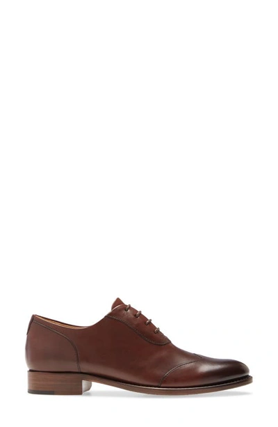 Shop The Office Of Angela Scott Mr. Evans Oxford In Walnut