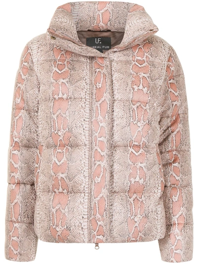 Shop Unreal Fur Python-print Puffer Jacket In Braun